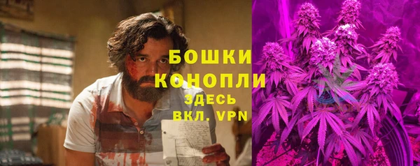 ПСИЛОЦИБИНОВЫЕ ГРИБЫ Ельня