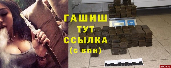 гидра Елабуга