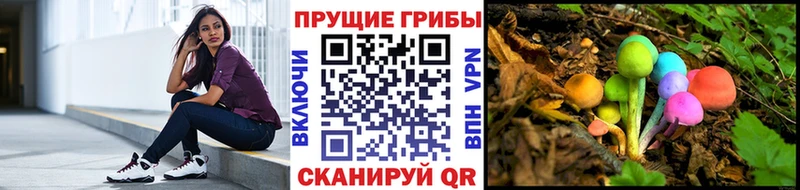 Псилоцибиновые грибы мухоморы Кадников